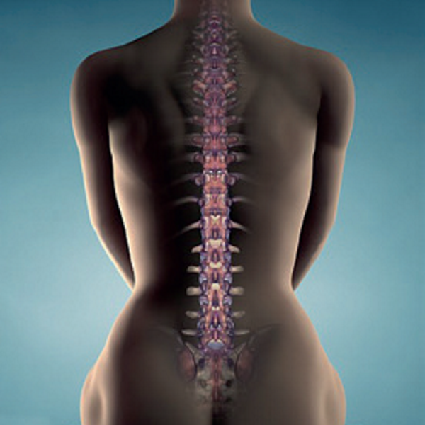 centro estetico hara spa wellness roma - trattamenti corpo roma